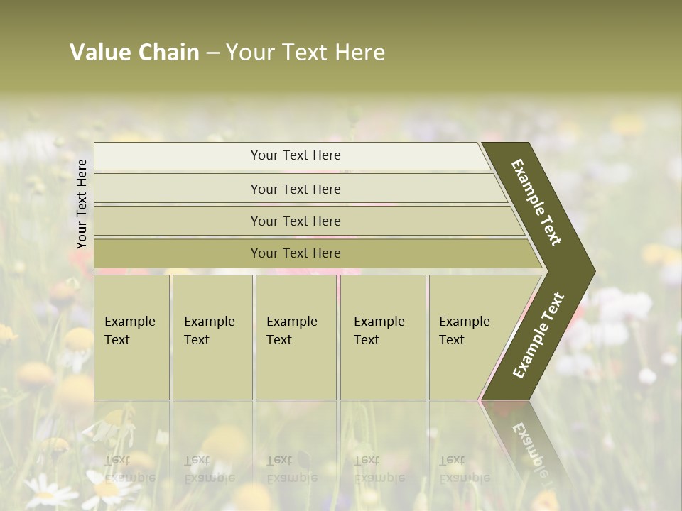 Meadow Flowers PowerPoint Template
