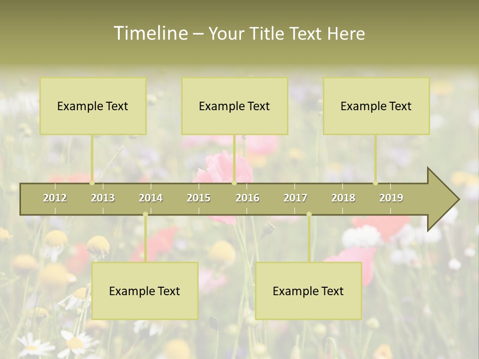 Meadow Flowers PowerPoint Template