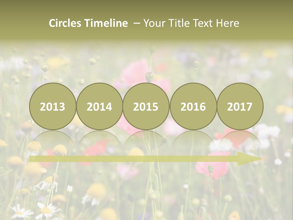 Meadow Flowers PowerPoint Template
