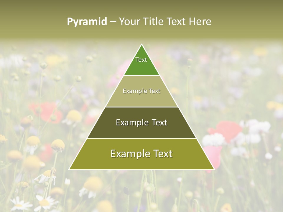 Meadow Flowers PowerPoint Template