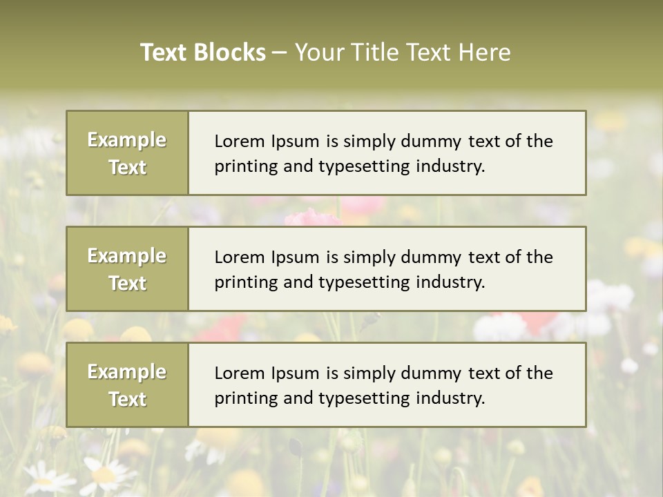 Meadow Flowers PowerPoint Template