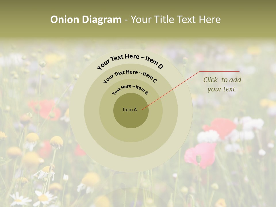 Meadow Flowers PowerPoint Template