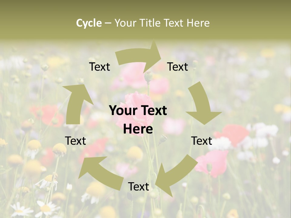 Meadow Flowers PowerPoint Template