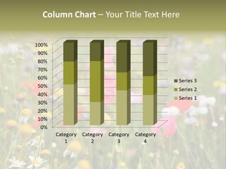 Meadow Flowers PowerPoint Template