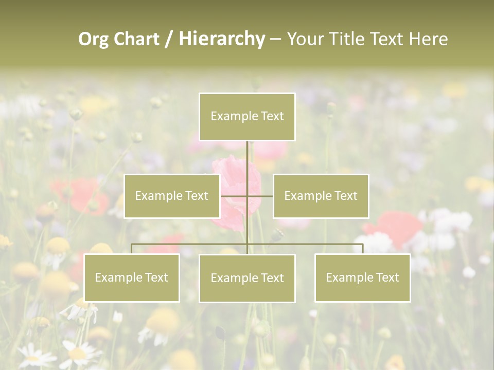 Meadow Flowers PowerPoint Template