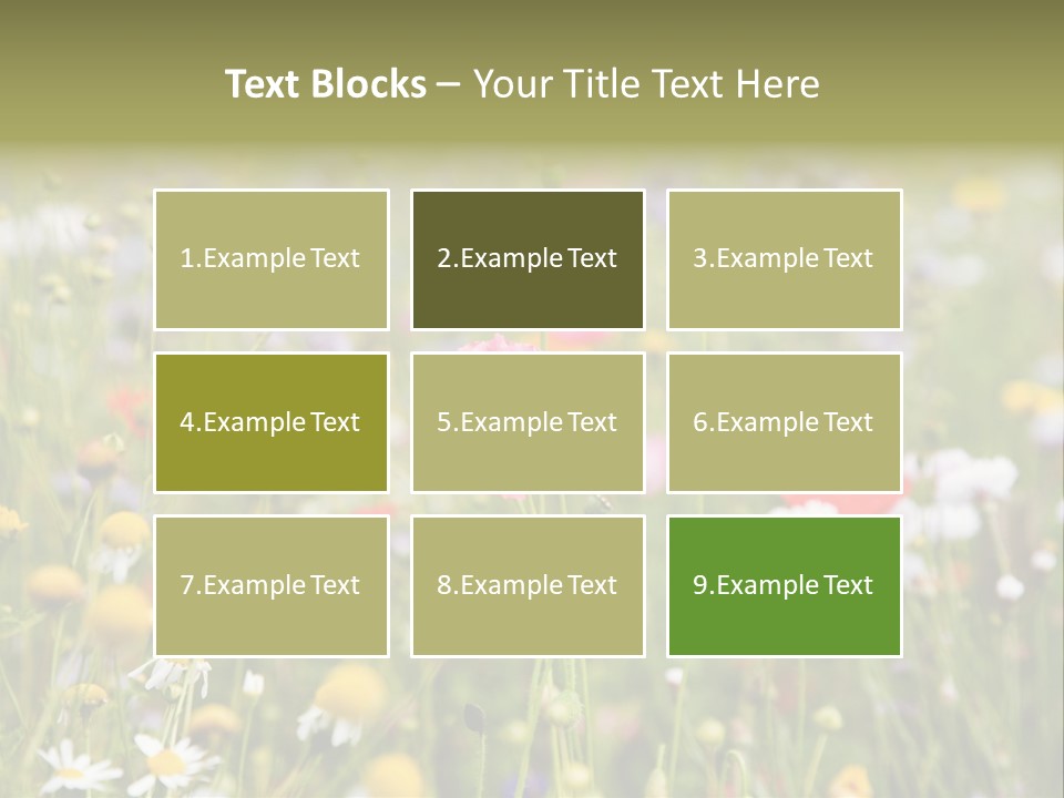 Meadow Flowers PowerPoint Template