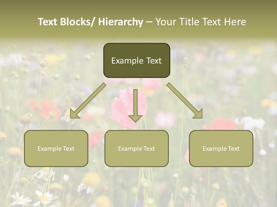Meadow Flowers PowerPoint Template