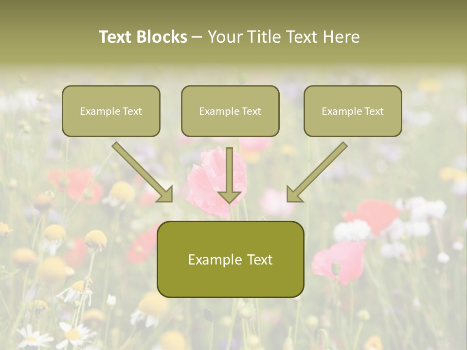 Meadow Flowers PowerPoint Template