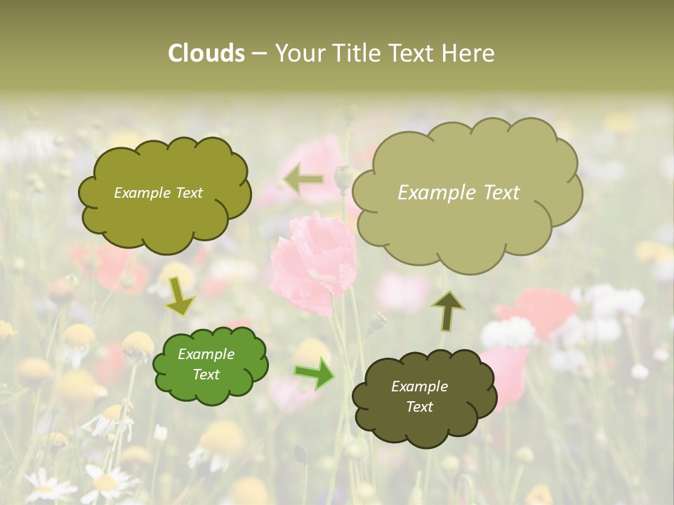 Meadow Flowers PowerPoint Template