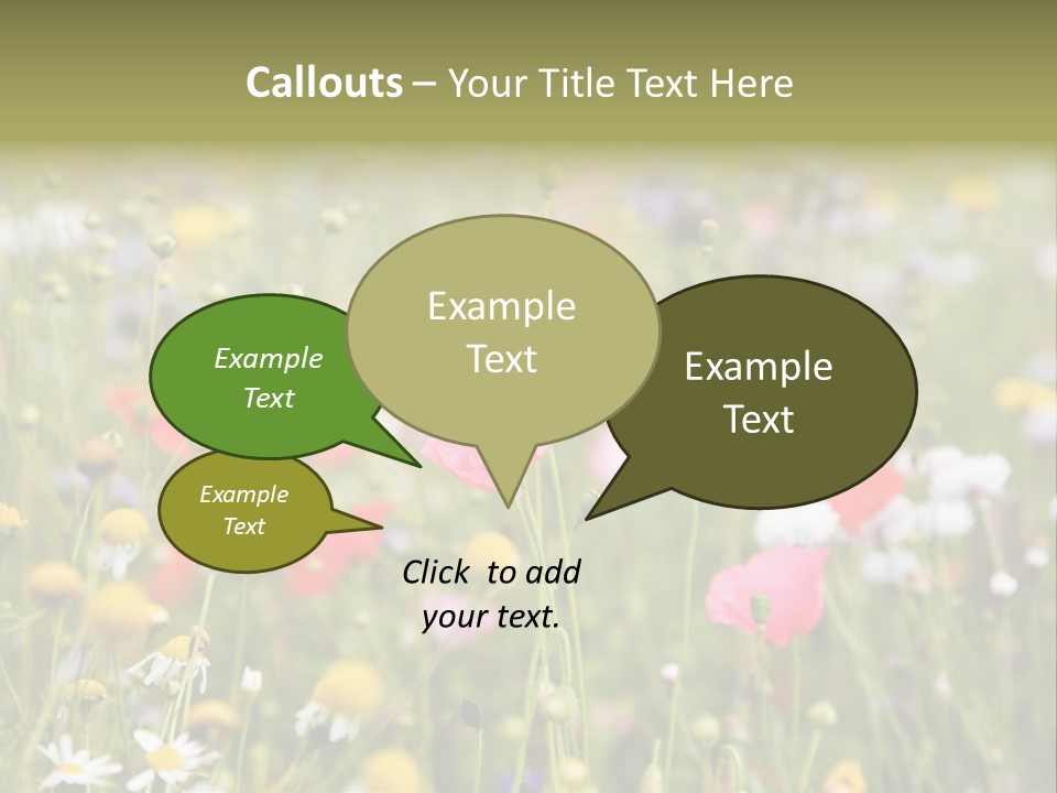 Meadow Flowers PowerPoint Template