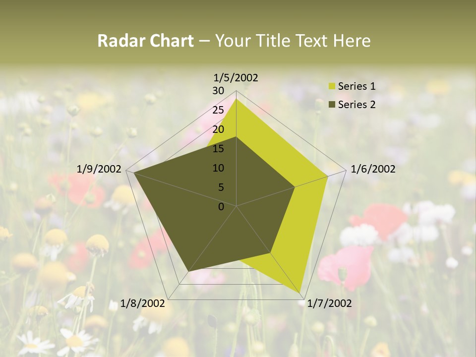 Meadow Flowers PowerPoint Template