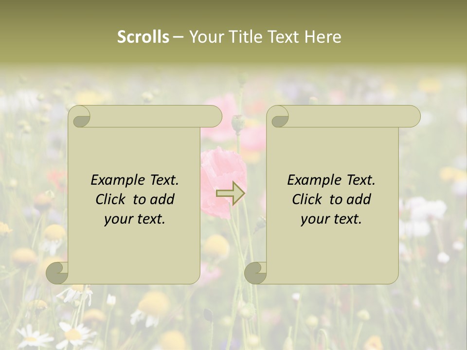 Meadow Flowers PowerPoint Template