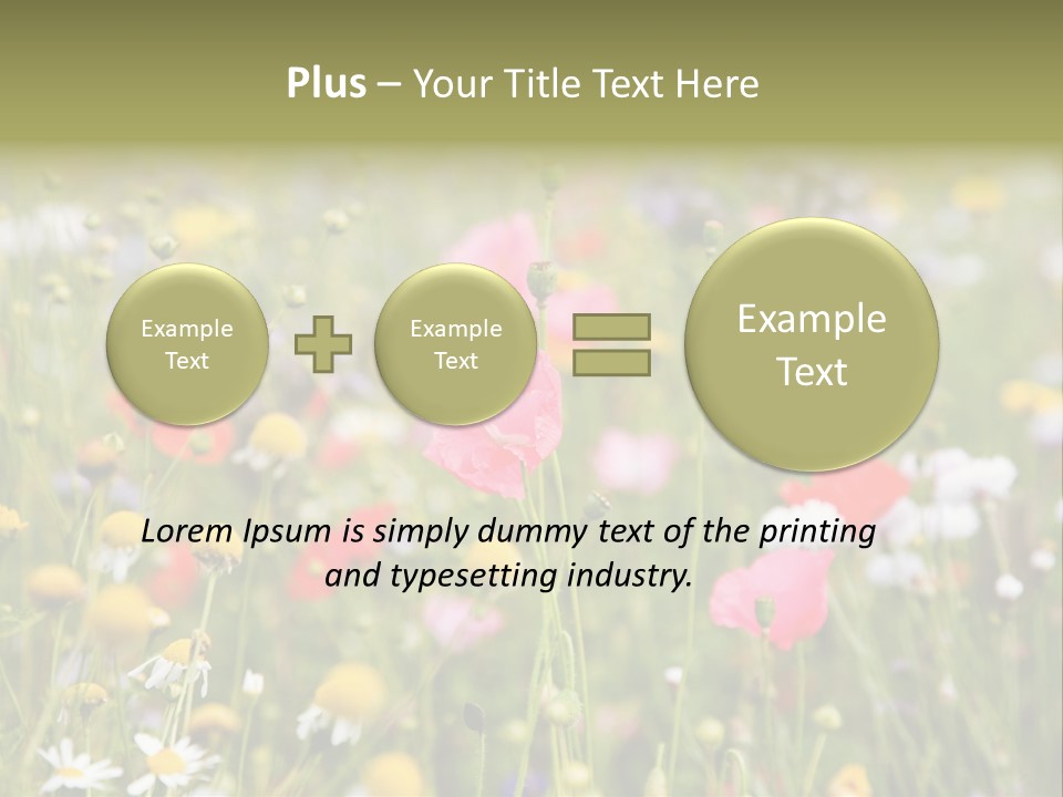 Meadow Flowers PowerPoint Template