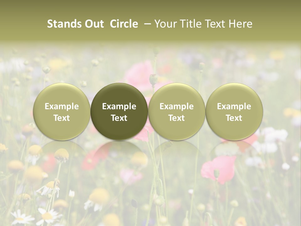 Meadow Flowers PowerPoint Template