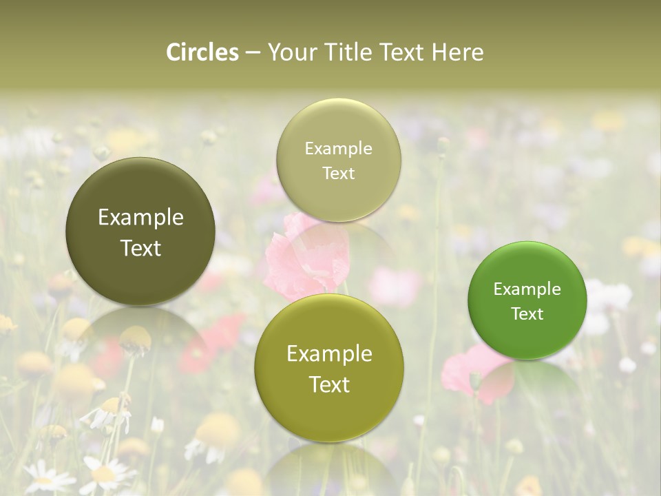 Meadow Flowers PowerPoint Template
