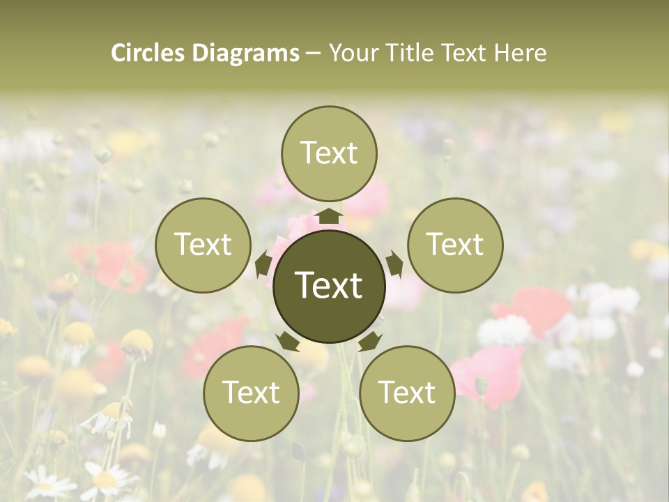 Meadow Flowers PowerPoint Template