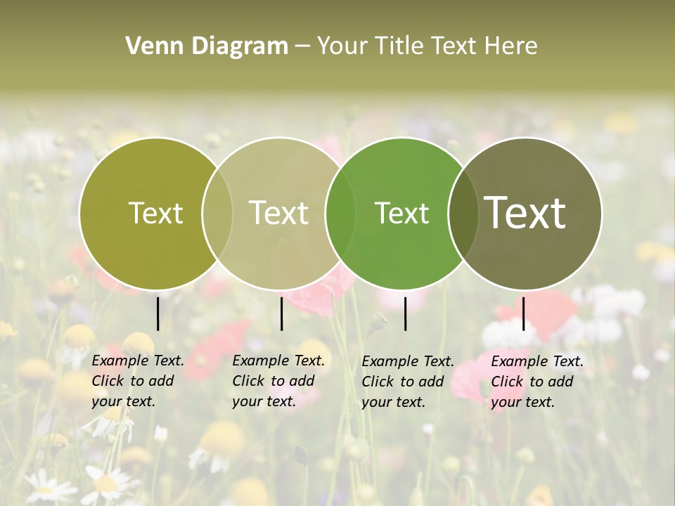 Meadow Flowers PowerPoint Template