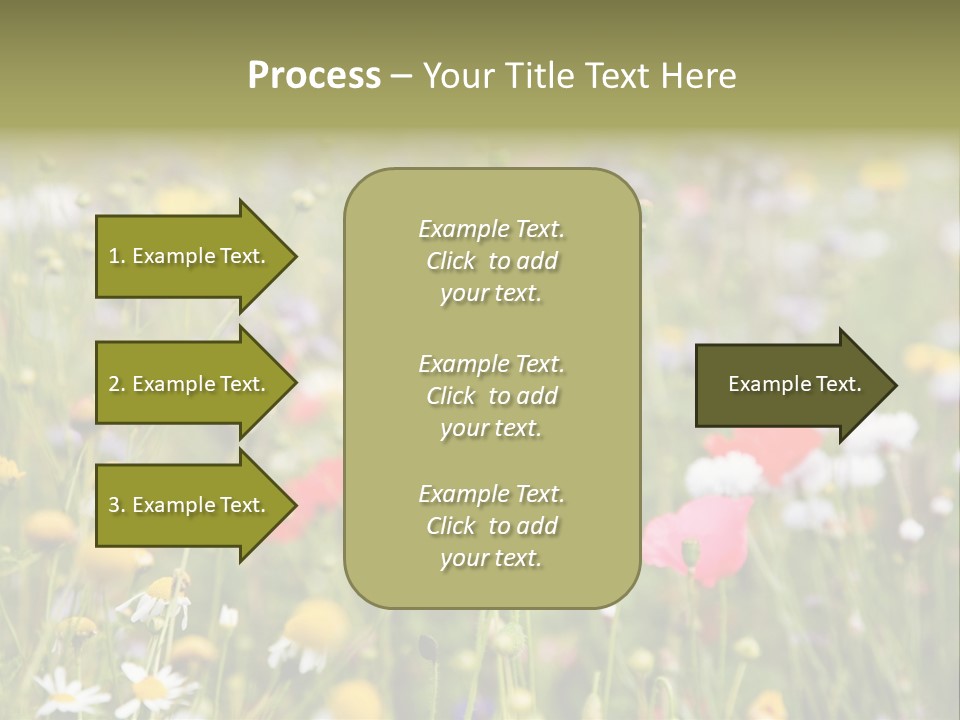Meadow Flowers PowerPoint Template