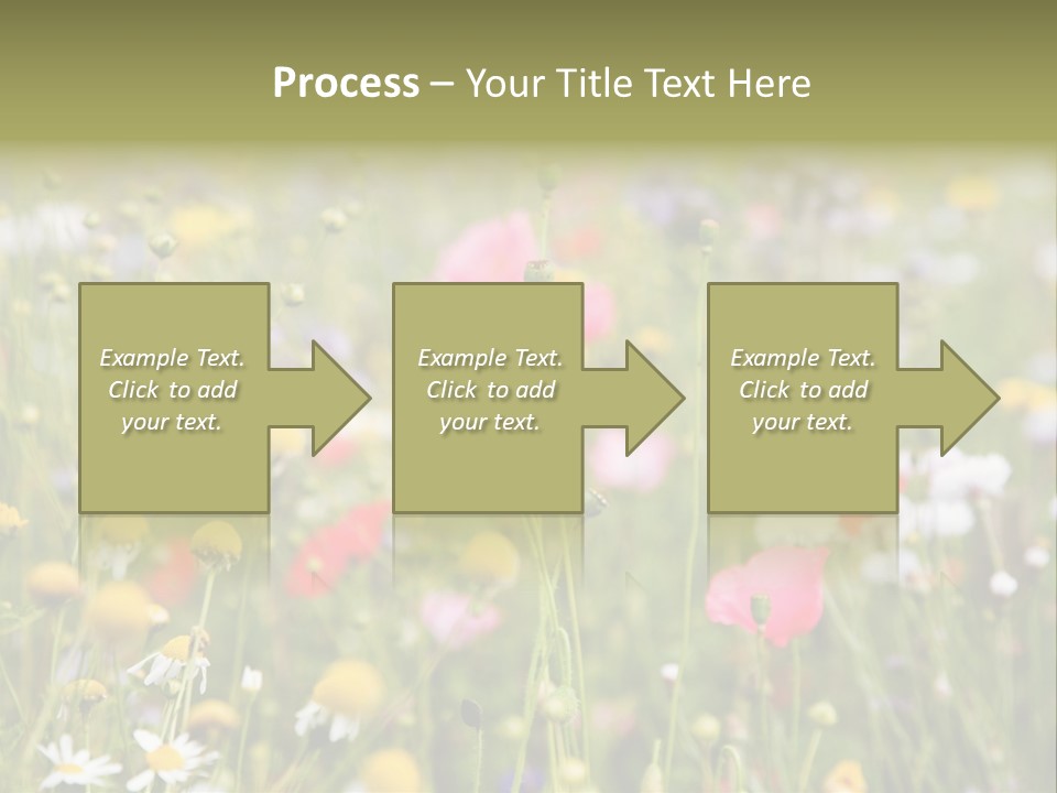 Meadow Flowers PowerPoint Template