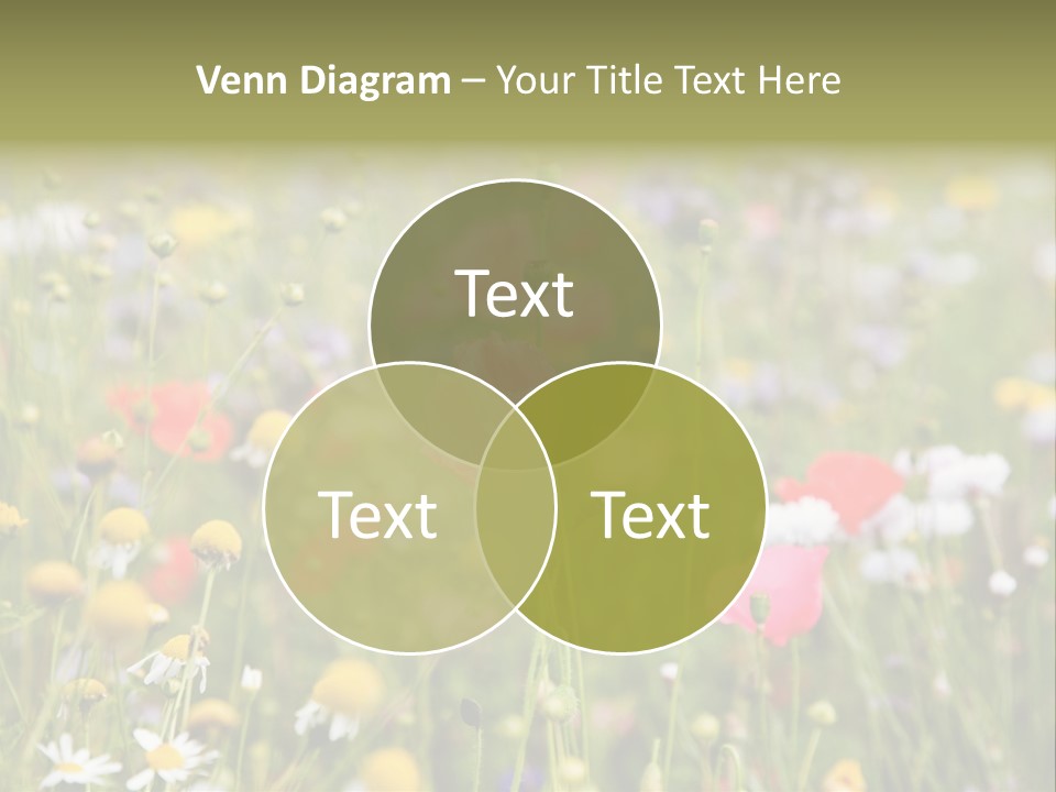 Meadow Flowers PowerPoint Template