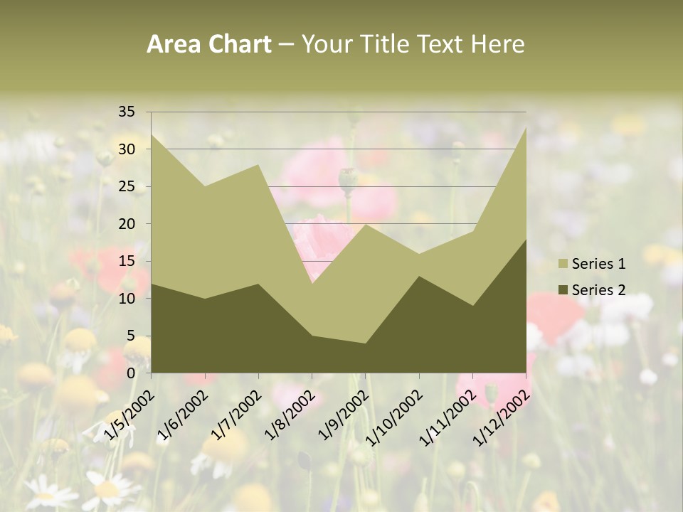 Meadow Flowers PowerPoint Template