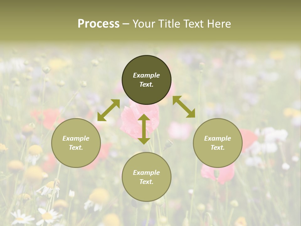 Meadow Flowers PowerPoint Template