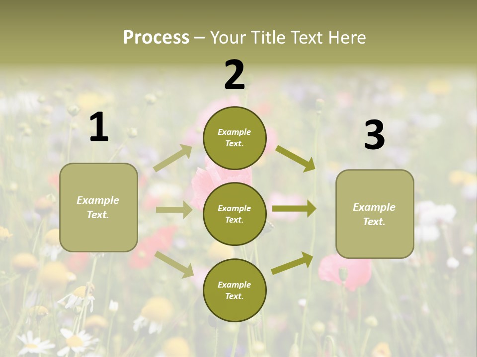 Meadow Flowers PowerPoint Template