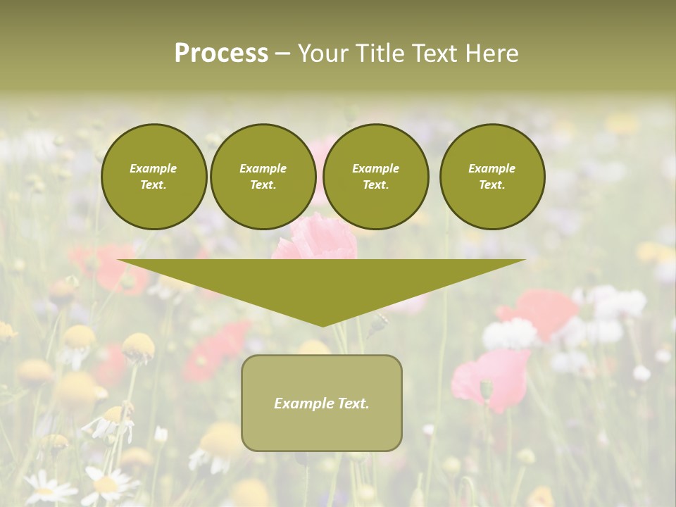Meadow Flowers PowerPoint Template