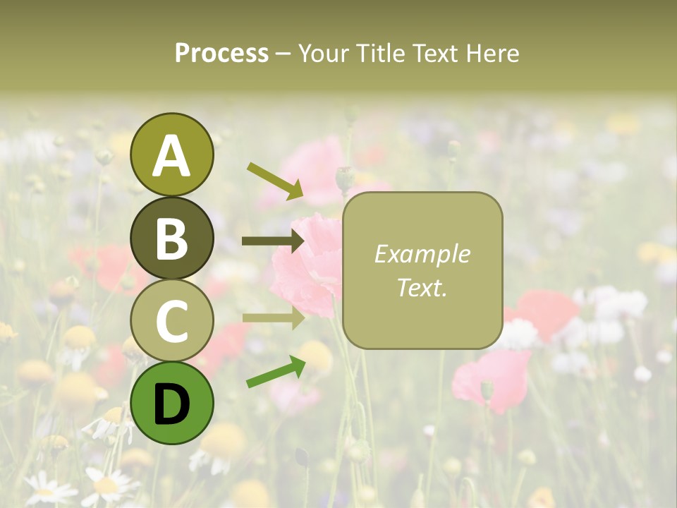 Meadow Flowers PowerPoint Template
