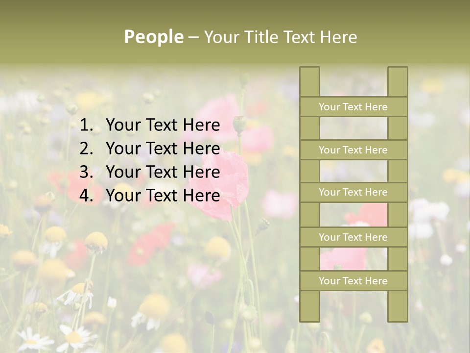 Meadow Flowers PowerPoint Template