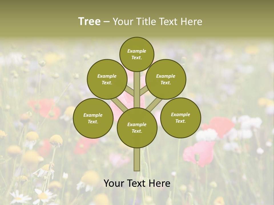 Meadow Flowers PowerPoint Template
