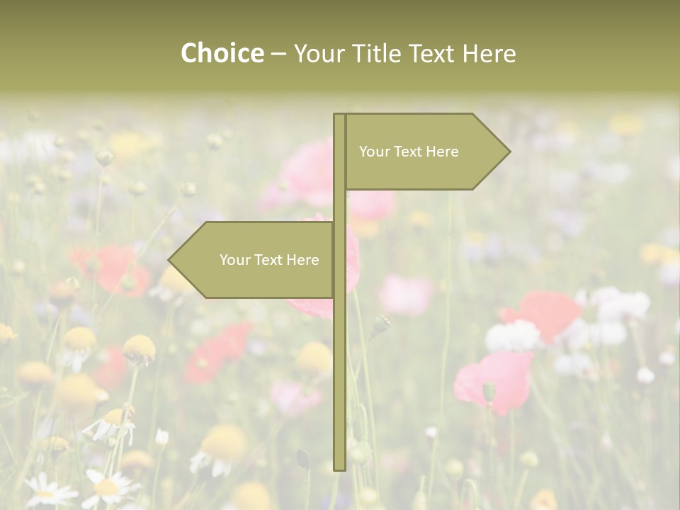 Meadow Flowers PowerPoint Template