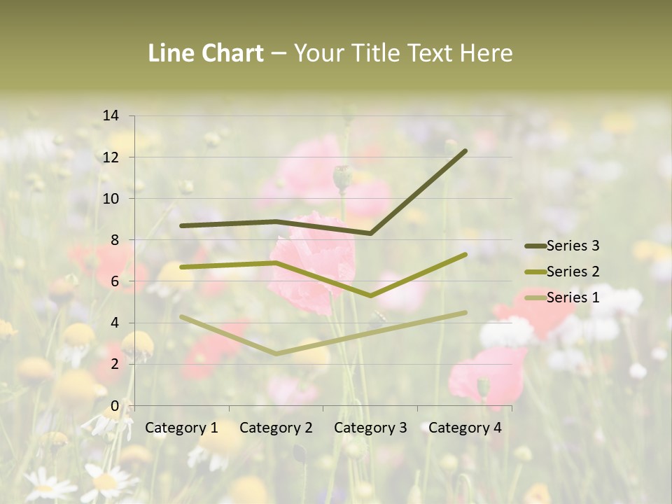 Meadow Flowers PowerPoint Template