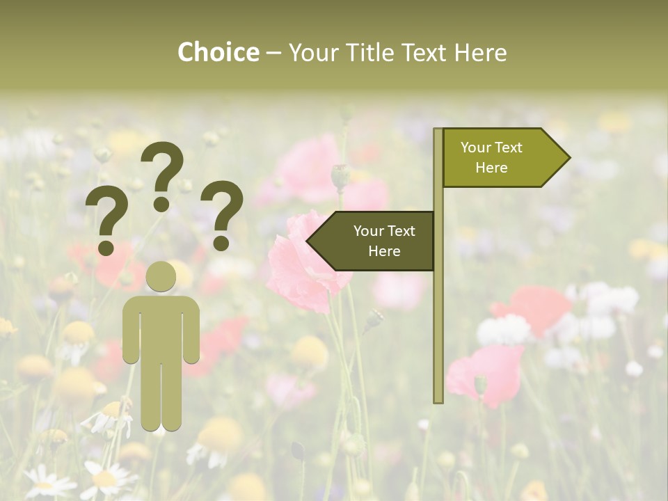 Meadow Flowers PowerPoint Template