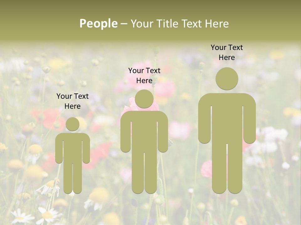 Meadow Flowers PowerPoint Template