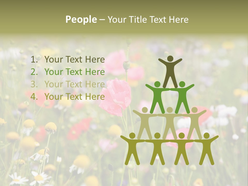 Meadow Flowers PowerPoint Template