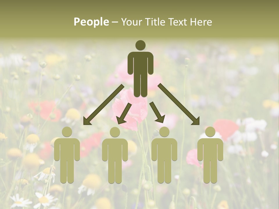 Meadow Flowers PowerPoint Template