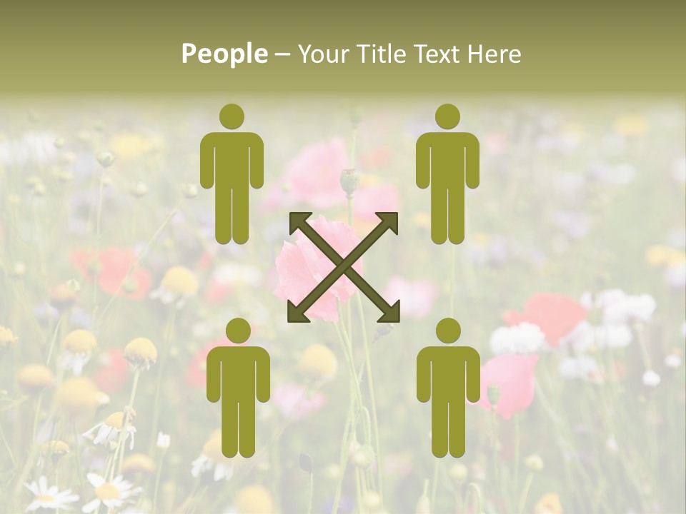 Meadow Flowers PowerPoint Template