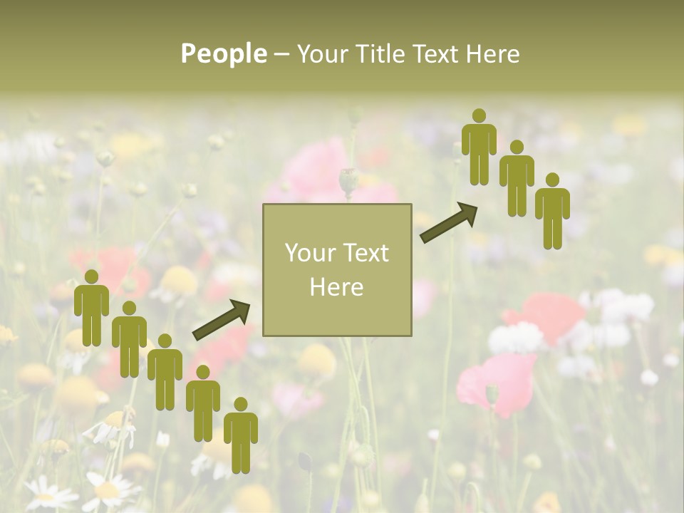Meadow Flowers PowerPoint Template