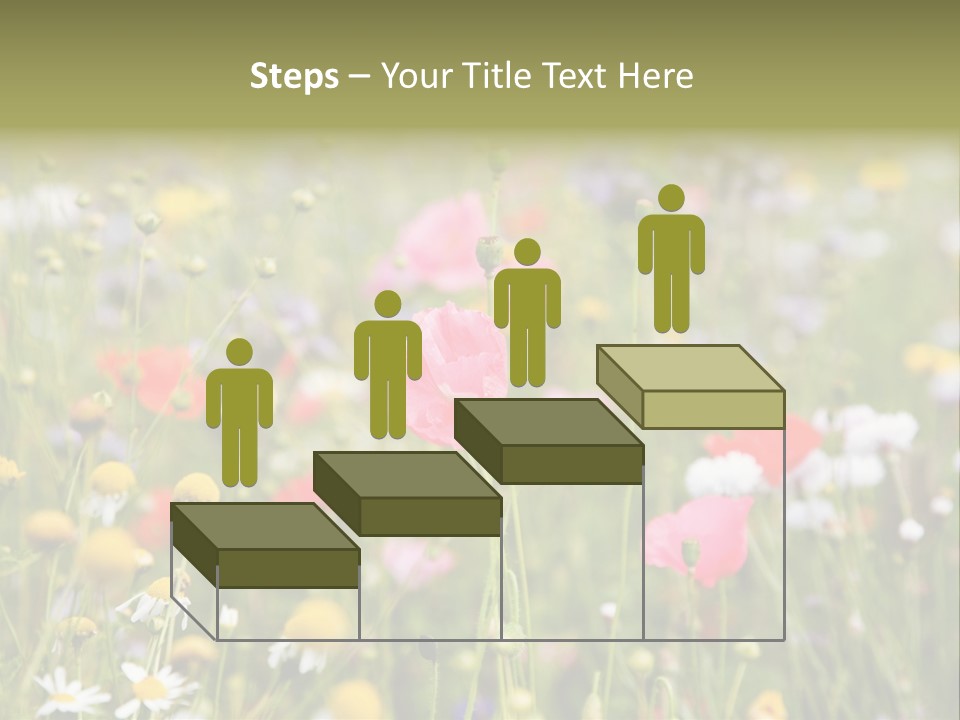 Meadow Flowers PowerPoint Template