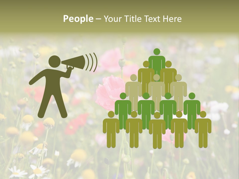 Meadow Flowers PowerPoint Template