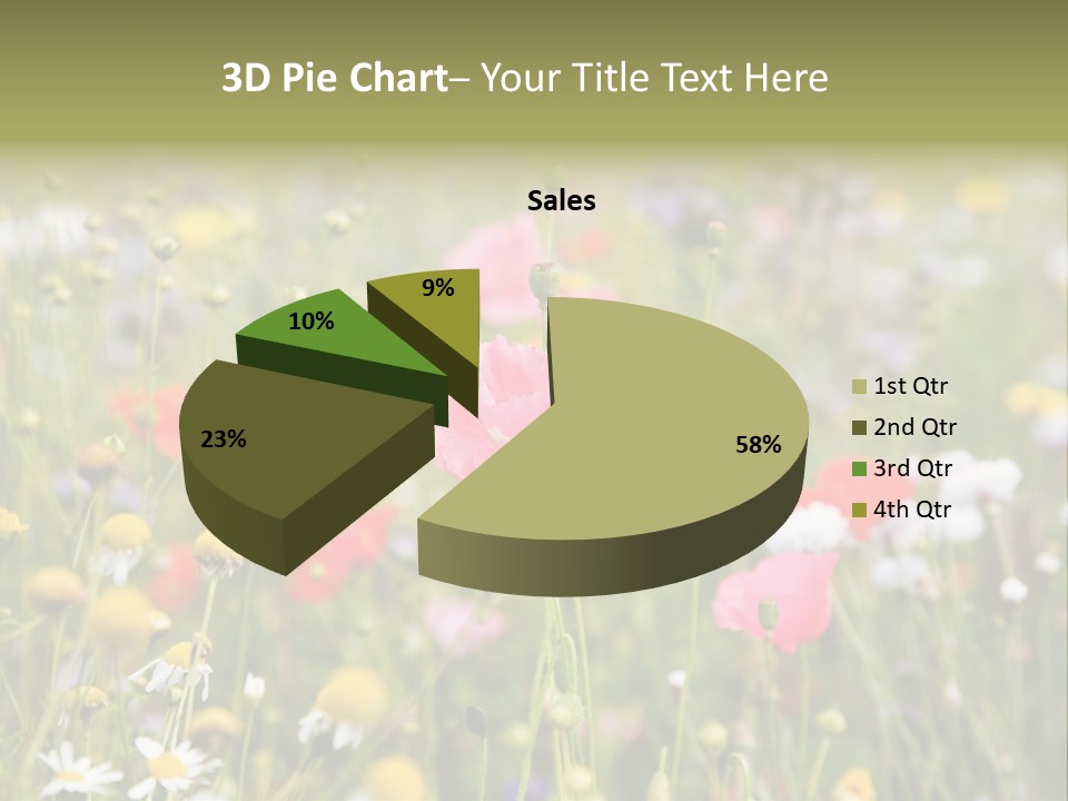 Meadow Flowers PowerPoint Template