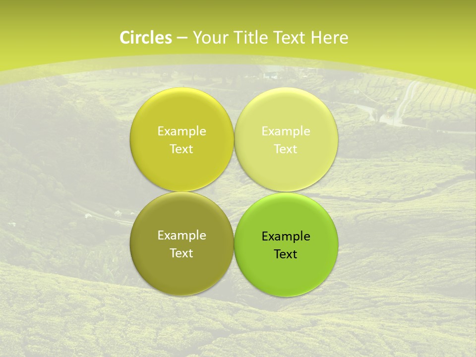 Terrace Green Scenery PowerPoint Template