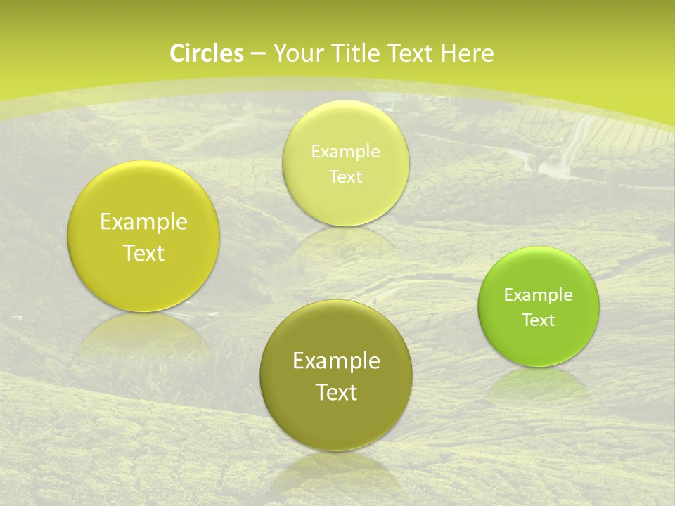 Terrace Green Scenery PowerPoint Template