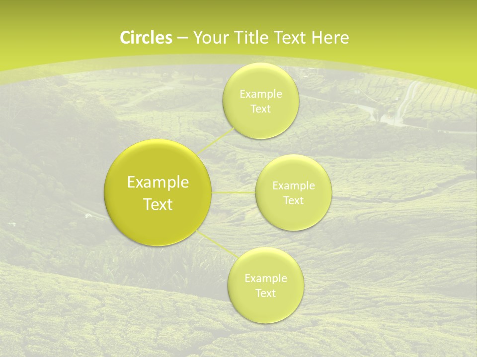 Terrace Green Scenery PowerPoint Template