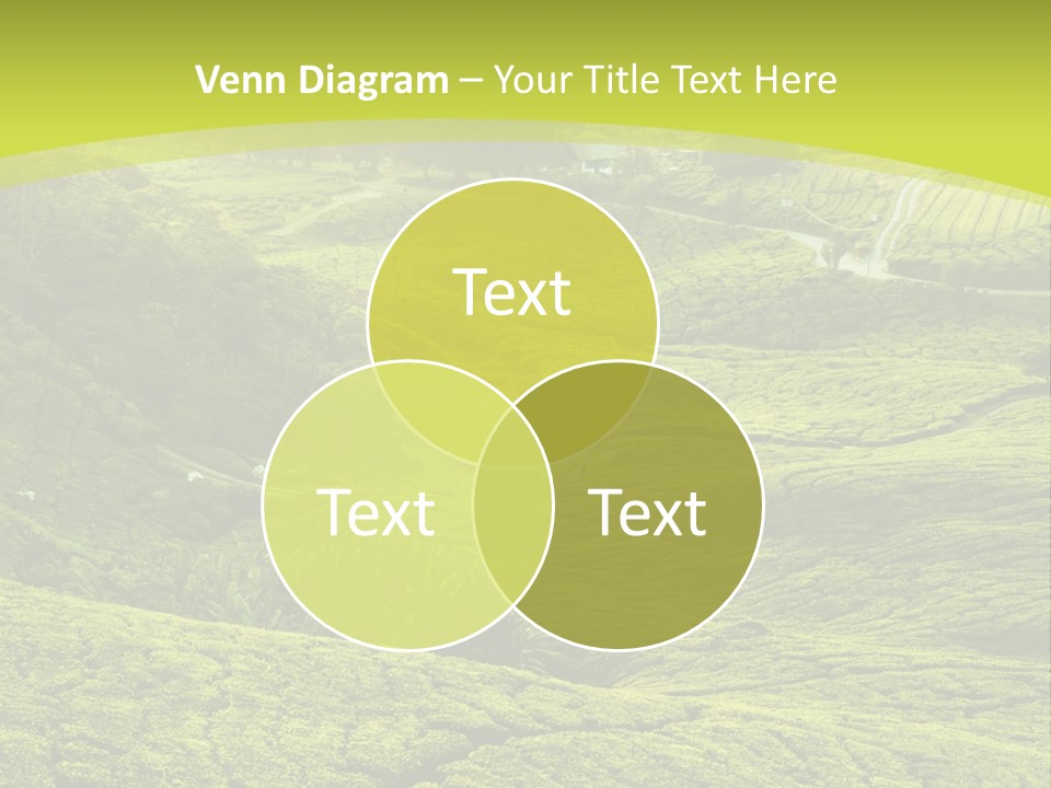 Terrace Green Scenery PowerPoint Template