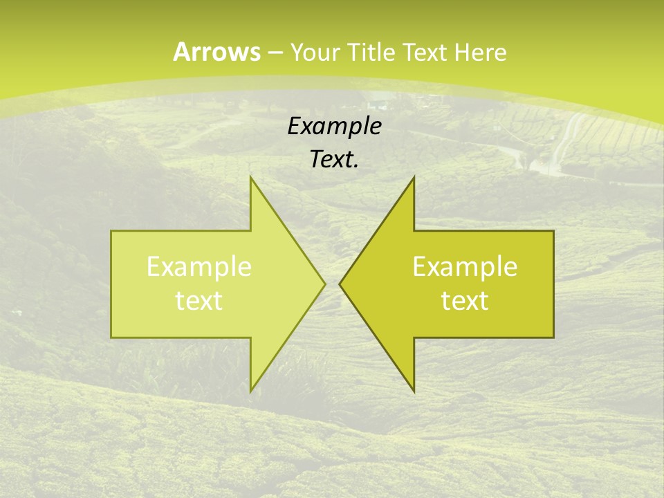 Terrace Green Scenery PowerPoint Template