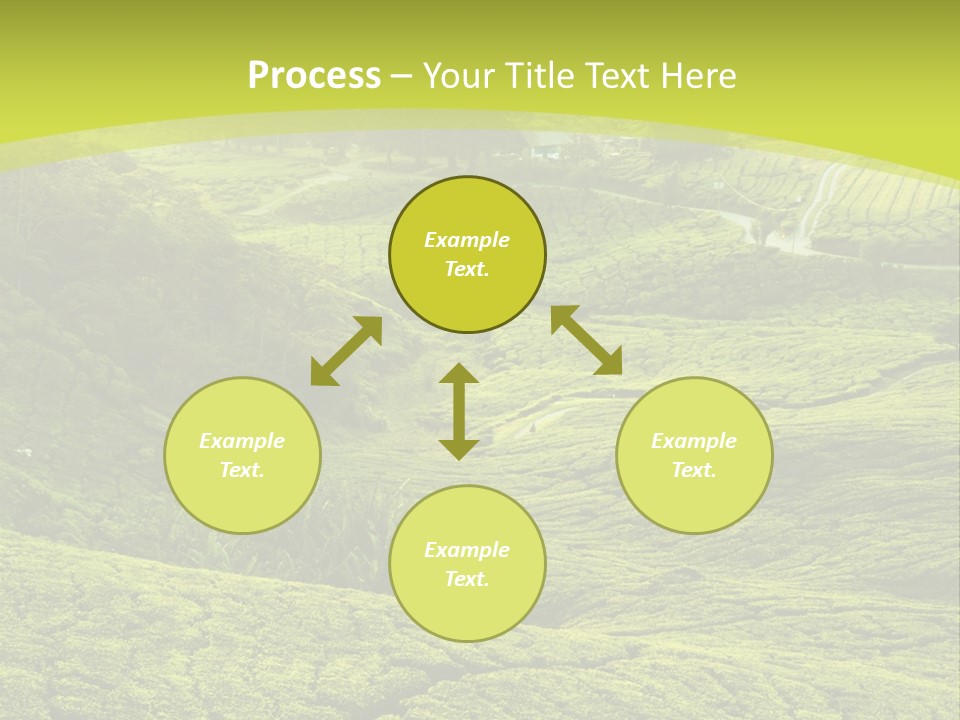 Terrace Green Scenery PowerPoint Template