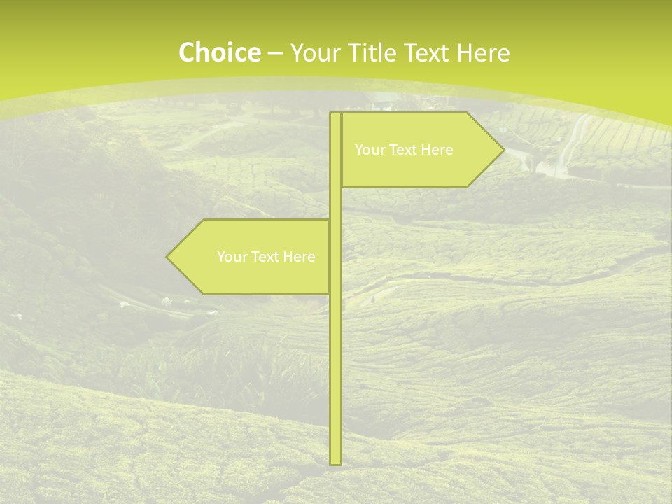 Terrace Green Scenery PowerPoint Template