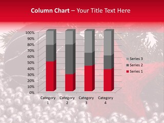 Shiny Shine Year PowerPoint Template